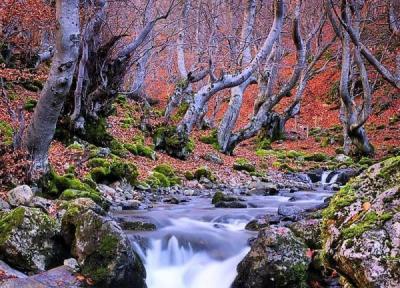 تصویری فوق رویایی از طبیعت رامیان تصویری فوق رویایی از طبیعت رامیان